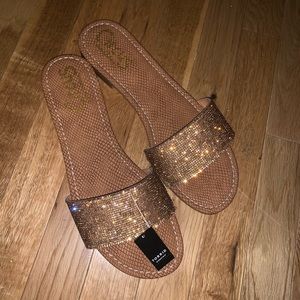 Torrid circus by sam edelman sandals.